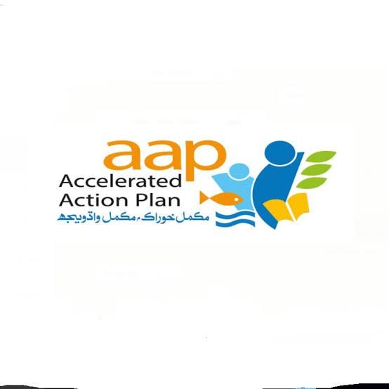 Accelerated Action Plan (AAP), Government of Sindh